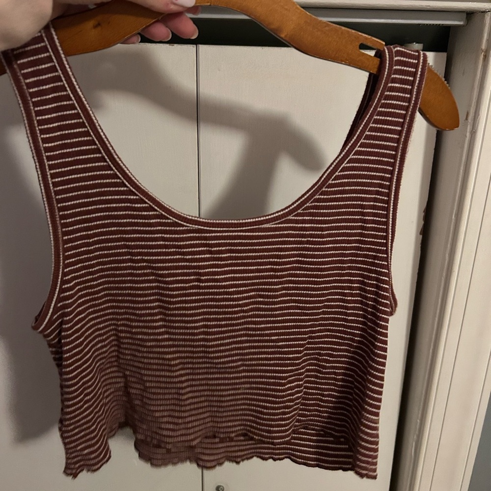 American Eagle Outfitters Brown Striped Crop Top